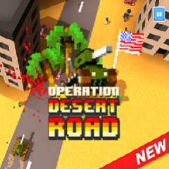 Operation Desert Road